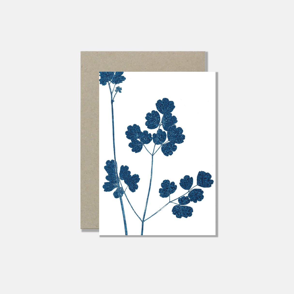 Atelier Mirla Grusskarte Glänzende Wiesenraute