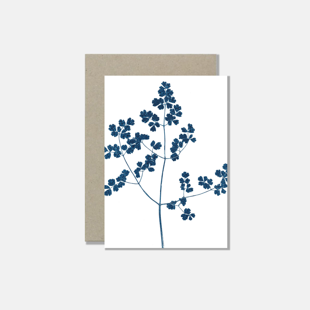 Atelier Mirla Grusskarte Schmalblättrige Wiesenraute