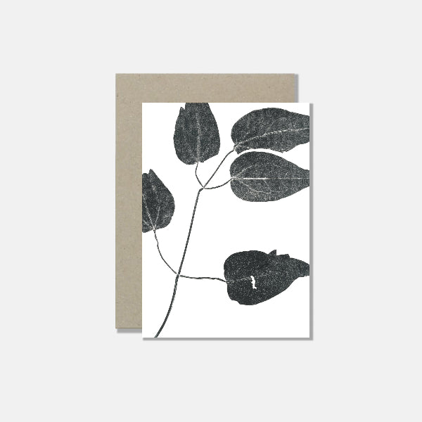 Atelier Mirla Grusskarte Gemeine Waldrebe