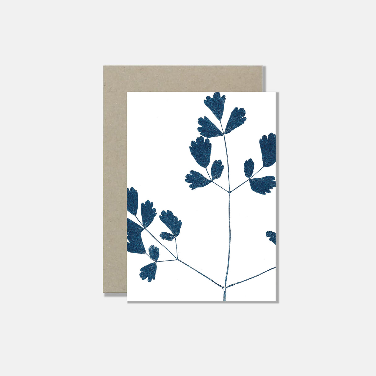 Atelier Mirla Grusskarte Riechende Wiesenraute