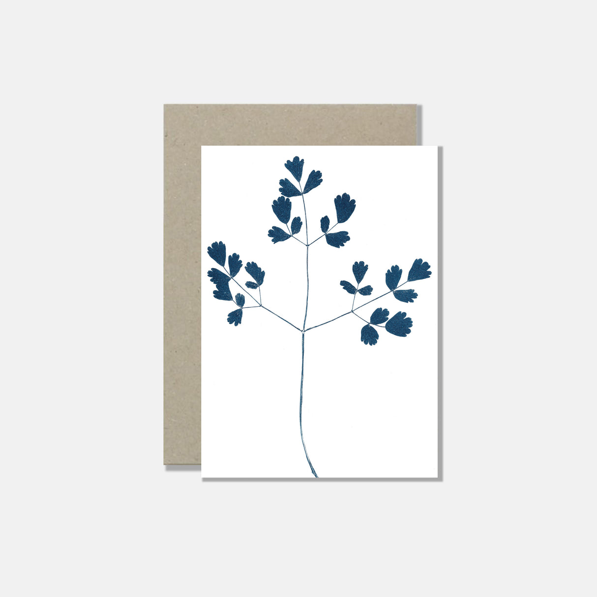 Atelier Mirla Grusskarte Alpen-Wiesenraute