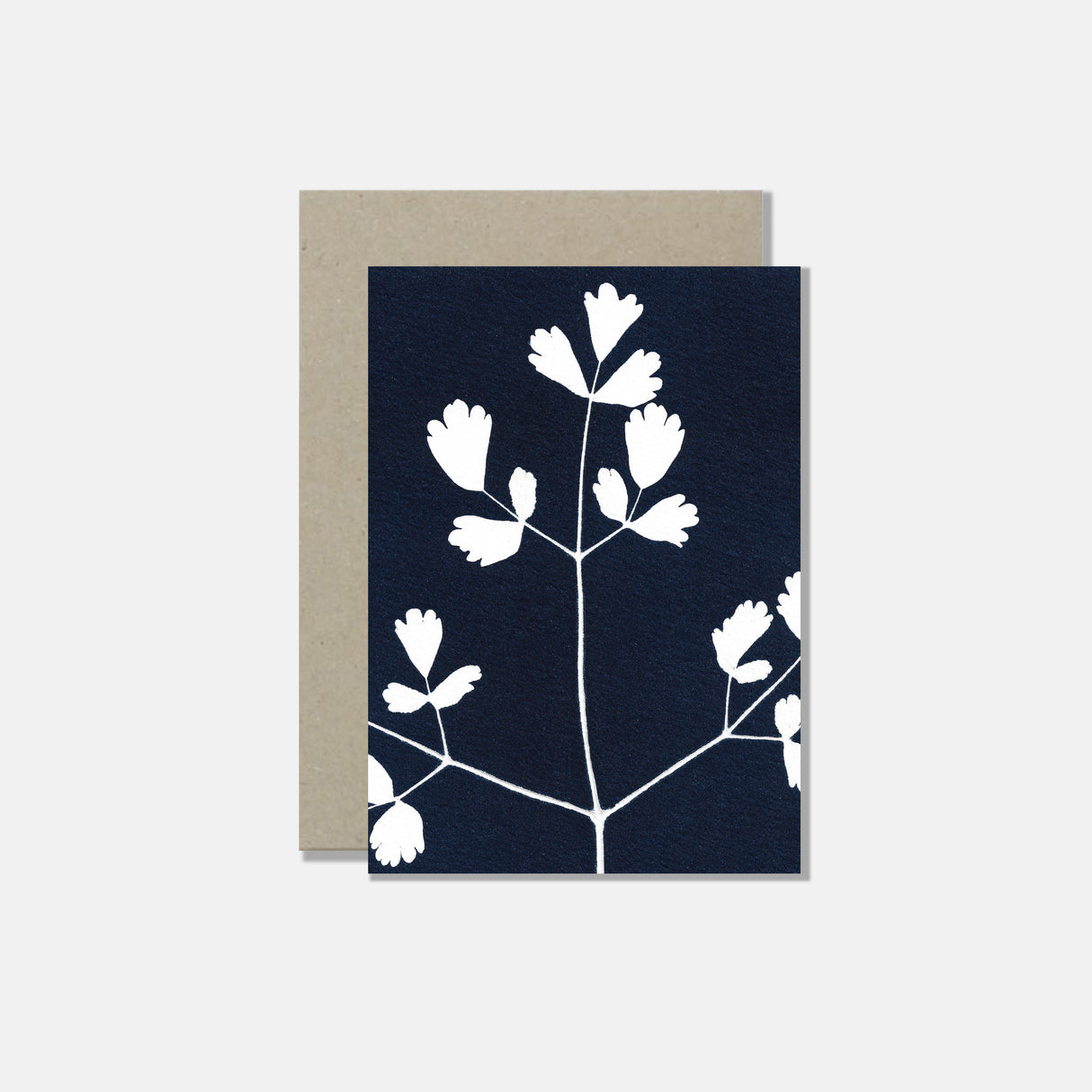 Atelier Mirla Grusskarte Akeleiblättrige Wiesenraute