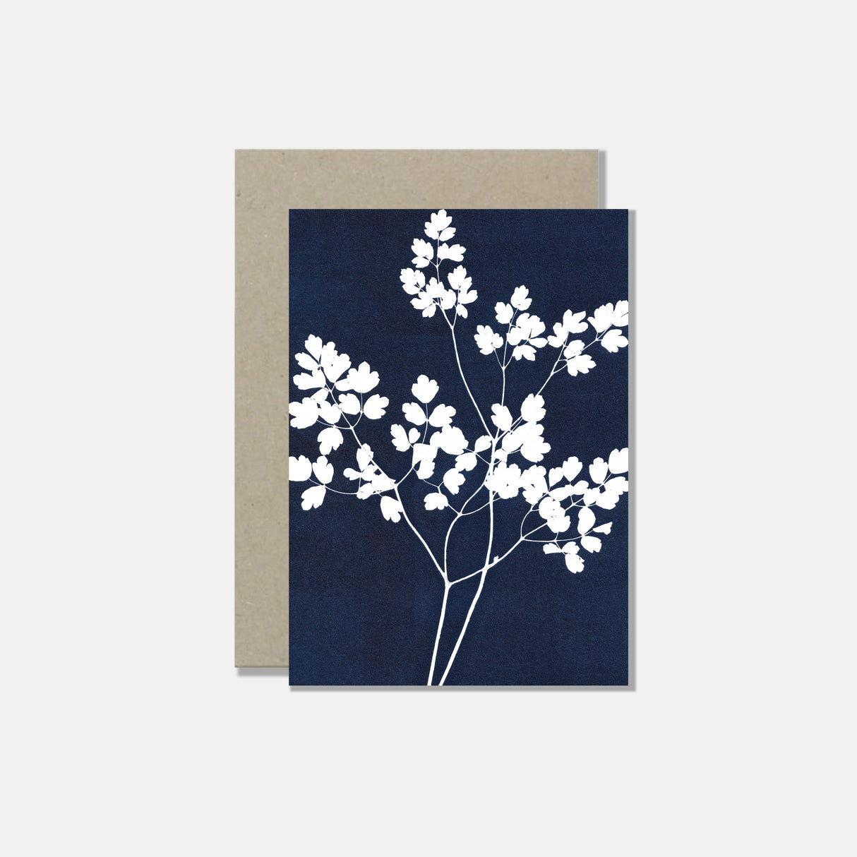 Atelier Mirla Grusskarte Kleine Wiesenraute