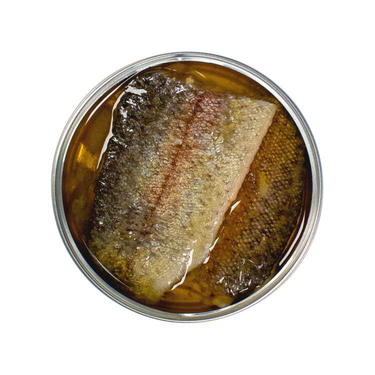 Jose Gourmet Forellenfilet in Olivenöl und Zitrone, 120 gr