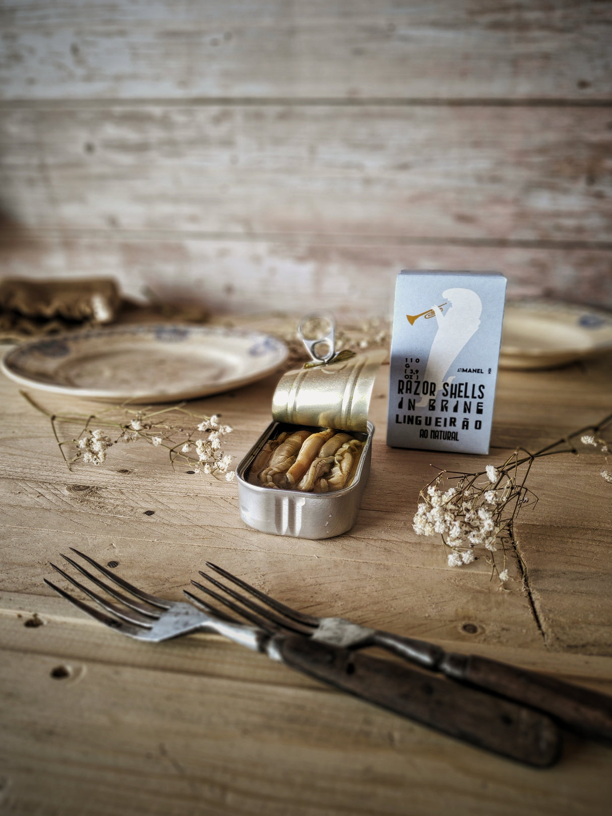 Jose Schwertmuscheln in Salzlake, 110 gr