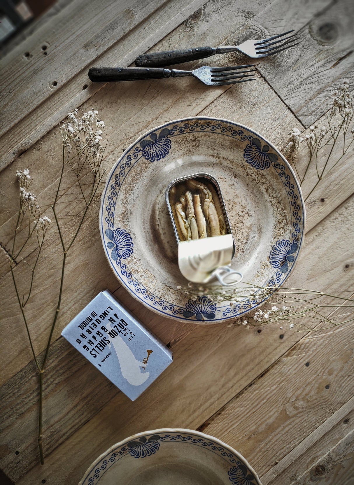 Jose Schwertmuscheln in Salzlake, 110 gr