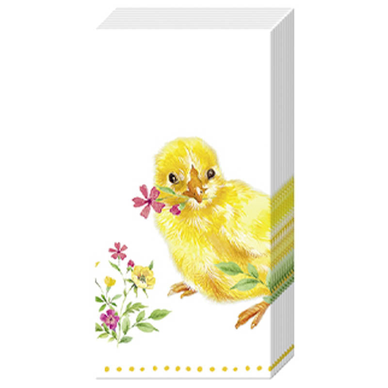 Wimmel Taschentücher - CHICKS