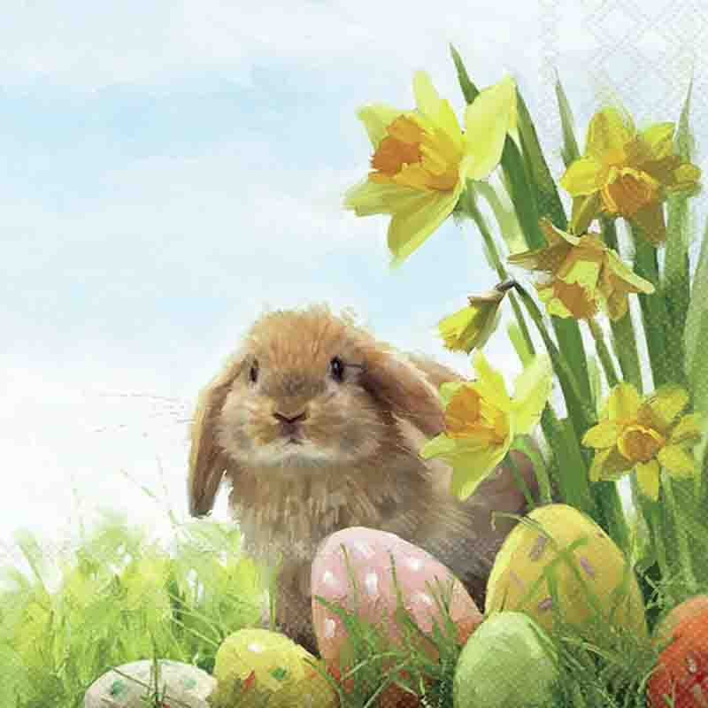 Wimmel Servietten 33x33cm Fluffy