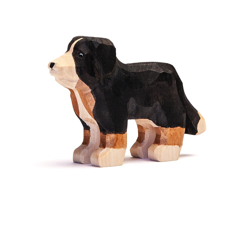 Trauffer Hund Cora
