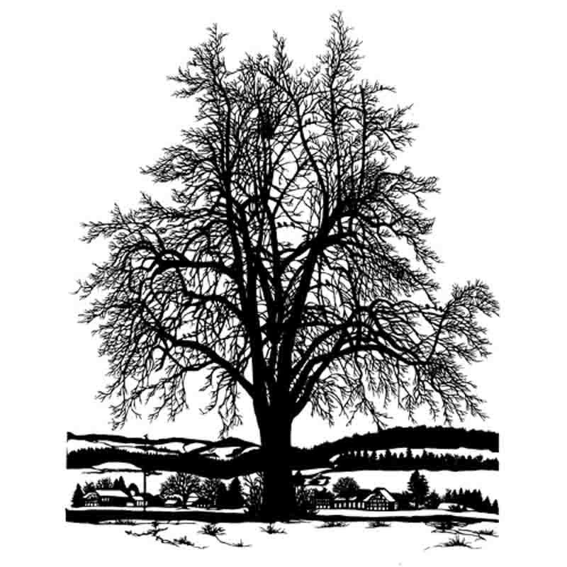 Esther Gerber Karte - Birnbaum A5