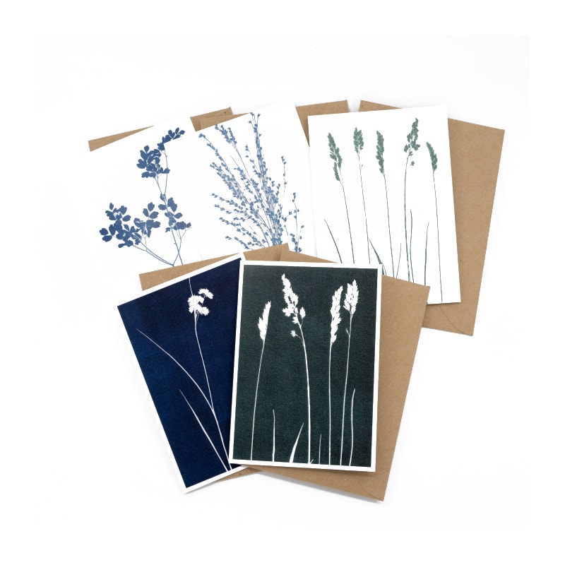 Atelier Mirla Grusskarte Grüne Gräser ass.