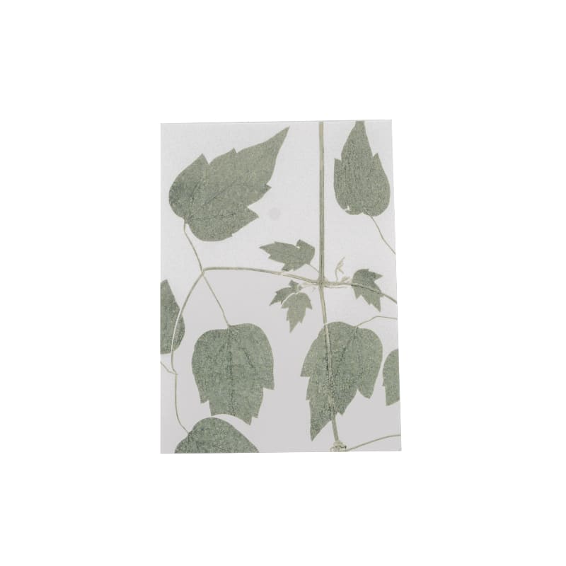 Atelier Mirla Grusskarte Bettlerskraut