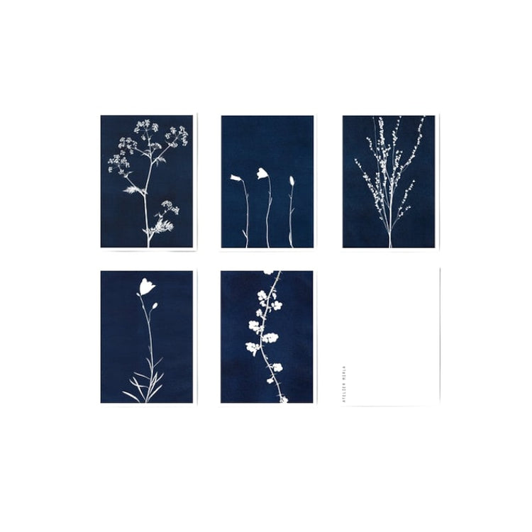 Atelier Mirla Grusskarte Indigo ass.