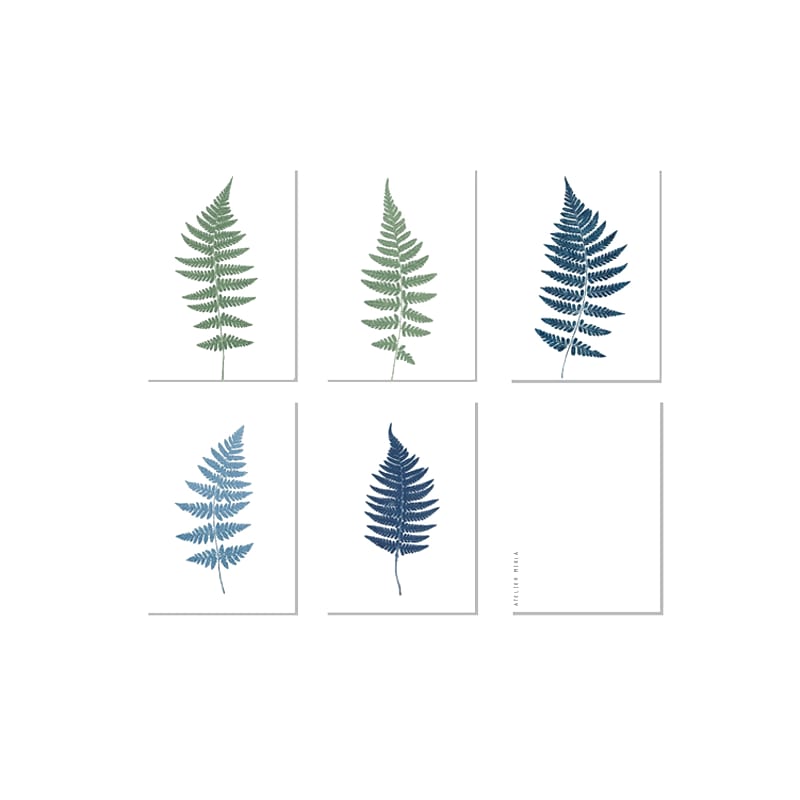 Atelier Mirla Grusskarte Farne II ass.