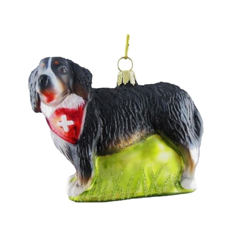 creanorm Glas Ornament Bernersennenhund