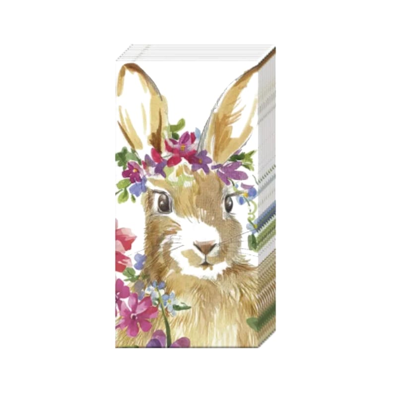 Wimmel Taschentücher - ISA