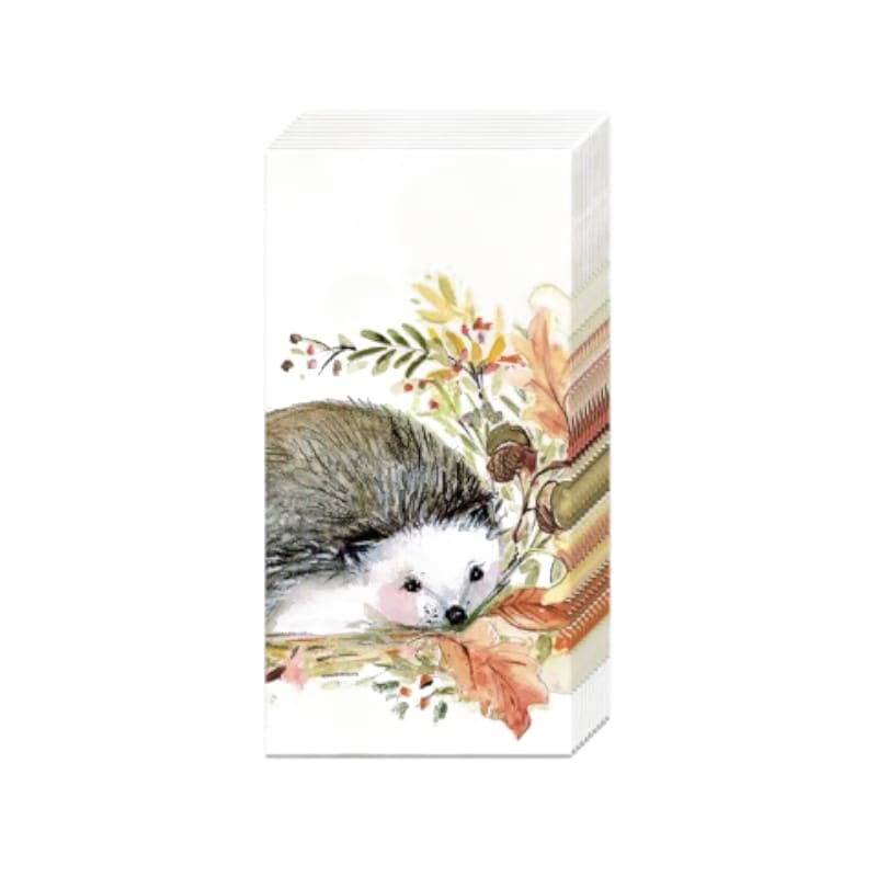 Wimmel Taschentücher - SWEET HEDGEHOG