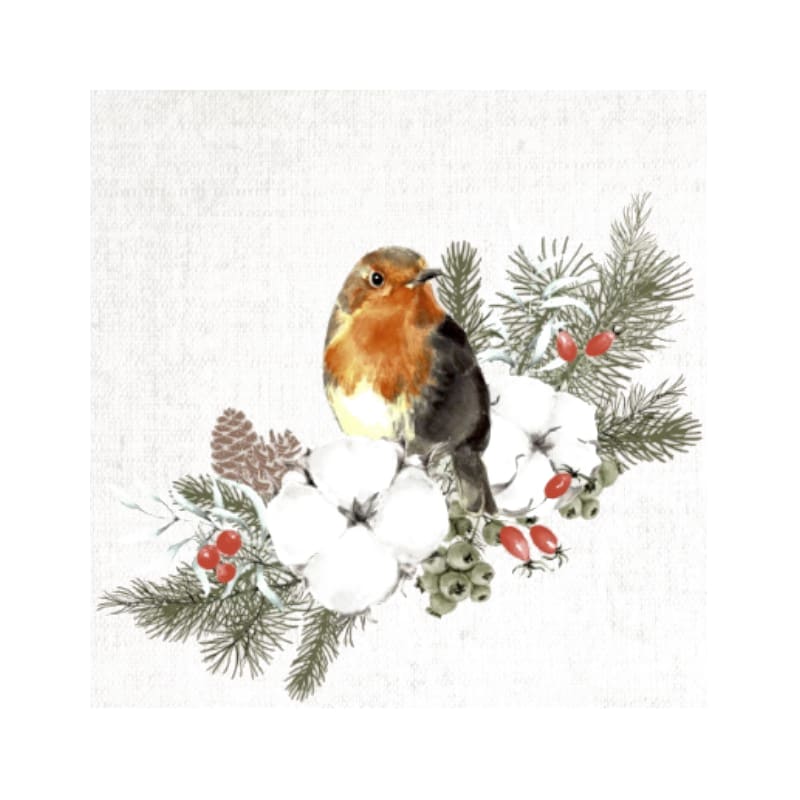 Wimmel Servietten 24x24 cm - Robin Forest