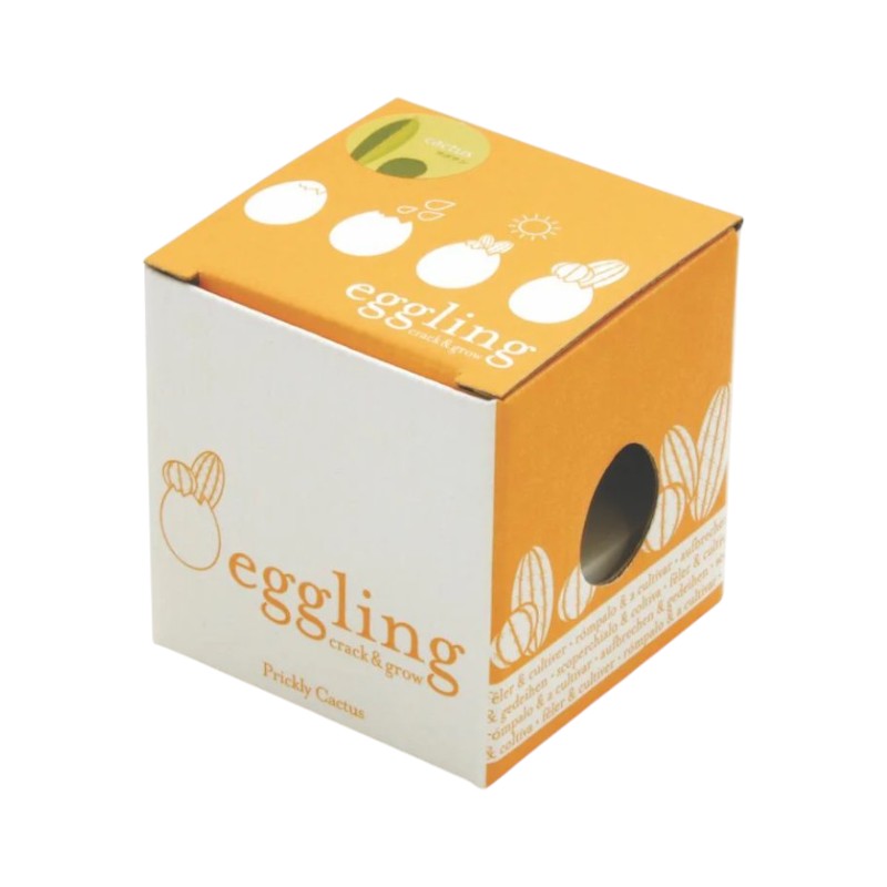 Notedco Kaktus im Ei