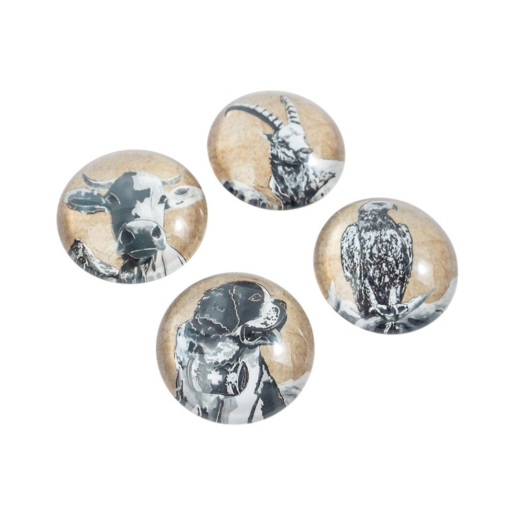 Trendform EYE-Magnete BELLA & FRIENDS 4er Set
