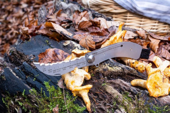 Panorama Knife Best of Switzerland, Pilzmesser