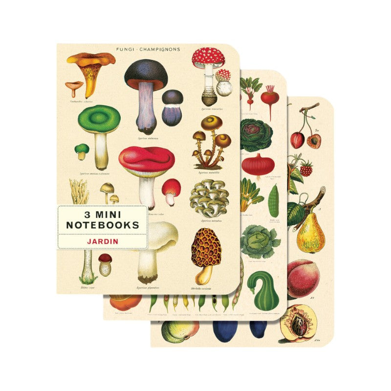 Cavallini Garten 3er Set Notizhefte