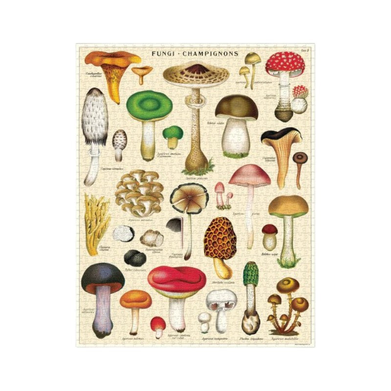 Cavallini Pilze Puzzle, 1000 Stück