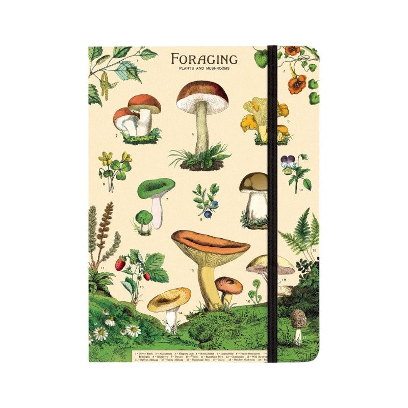 Cavallini Pilze Notizbuch