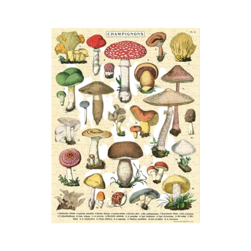 Cavallini Pilze Puzzle, 240 Stück