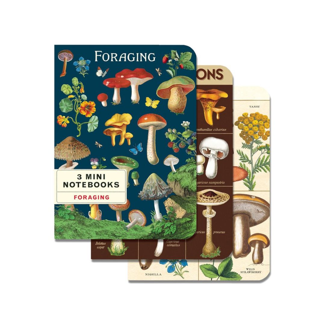 Cavallini Pilze 3er Set Notizhefte