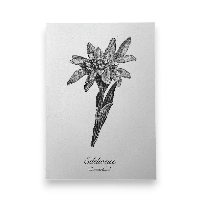 mumix Postkarte A6 Nostalgie Edelweiss