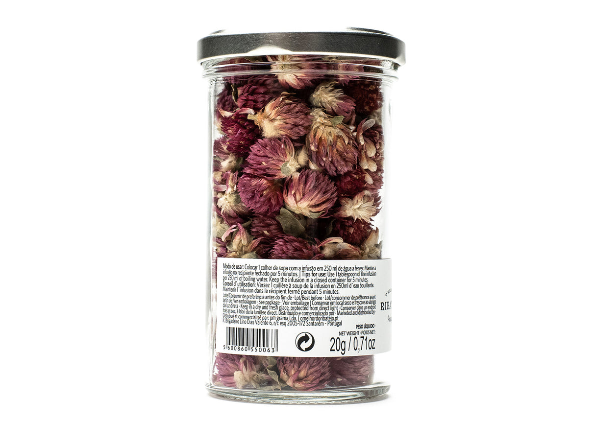 Ribatejo Kugelamaranthtee (chá perpétua roxa)