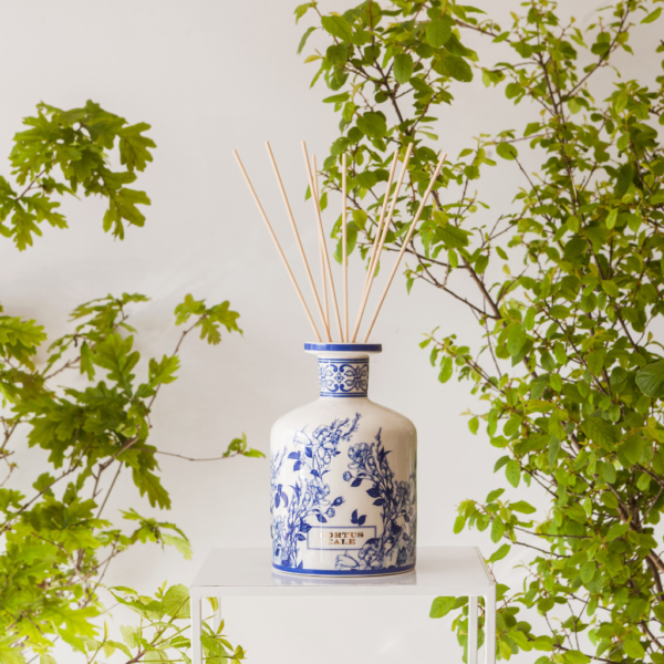 Portus Cale Gold & Blue Porzellan Vase