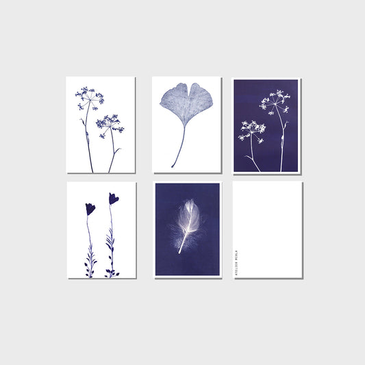 Atelier Mirla Grusskarte Blau ass.
