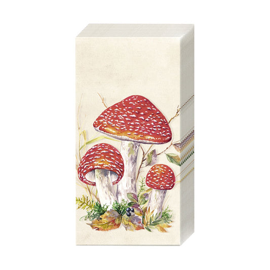 Wimmel Taschentücher - TOAD cream