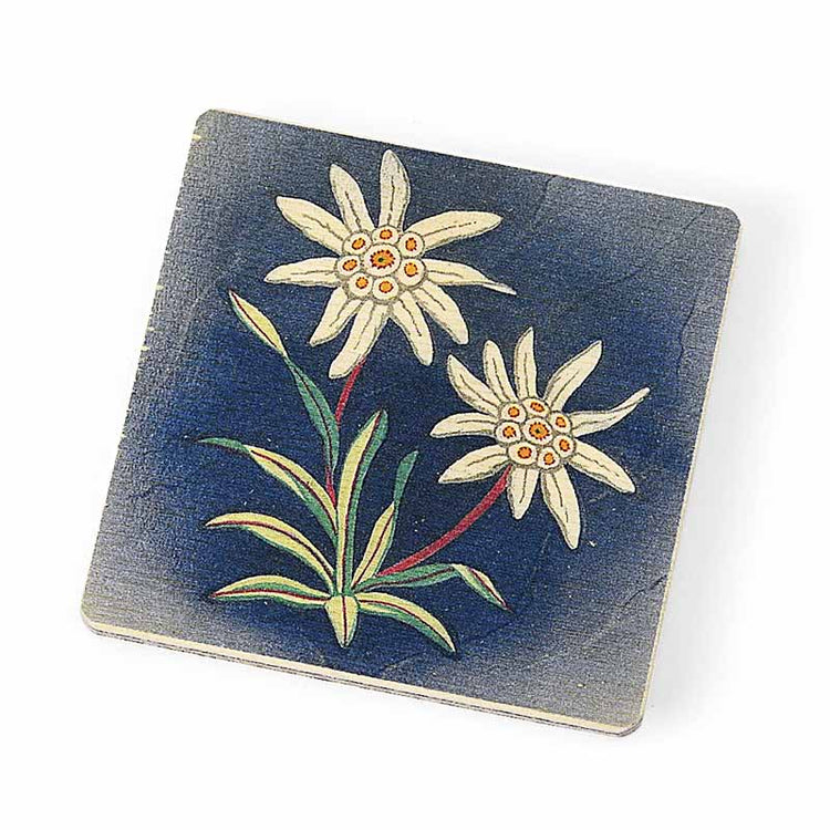 Atelier Fischer Magnet Swiss Standart - Edelweiss