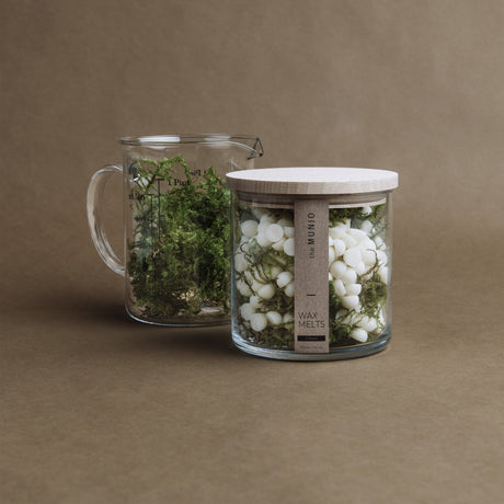 the MUNIO Moos Sojawachsschmelze im Teelichtglas, ⌀ 8 cm