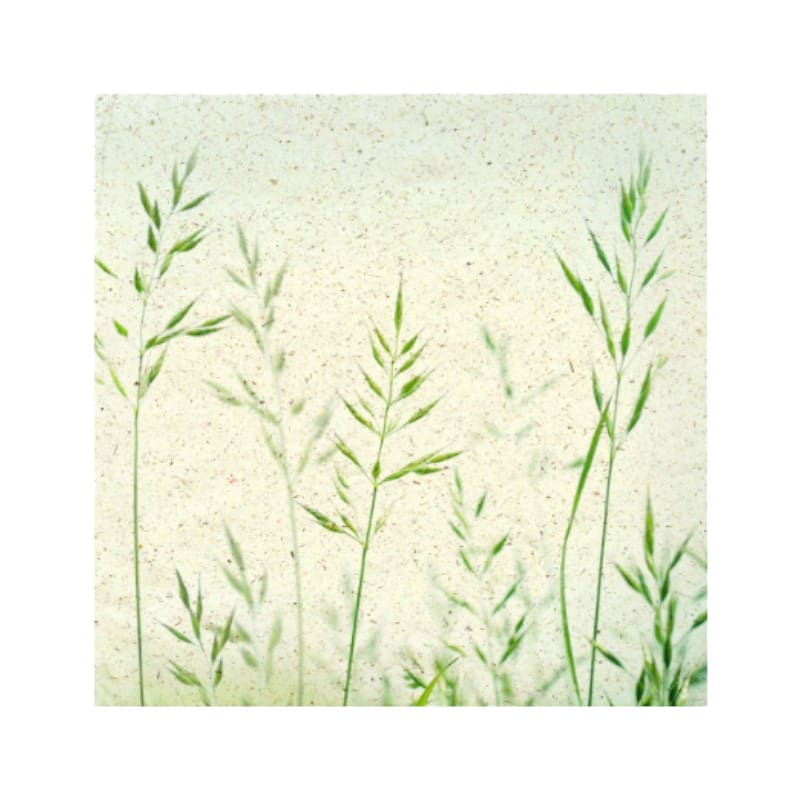 Wimmel Servietten 33x33 cm Sommerbrise