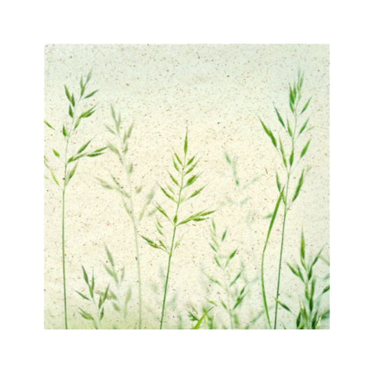 Wimmel Servietten 33x33 cm Sommerbrise