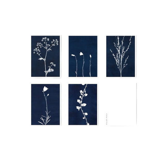 Atelier Mirla Grusskarte Indigo ass.