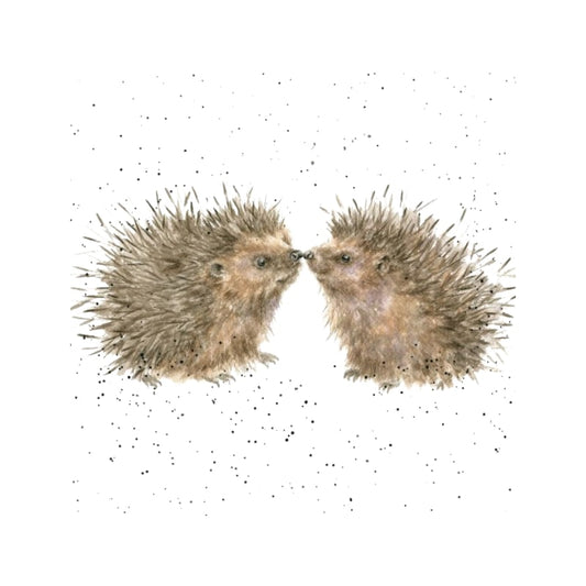 Wrendale Designs Karte Igel und Küsse