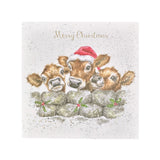 Wrendale Designs Karte Weihnachtskälber