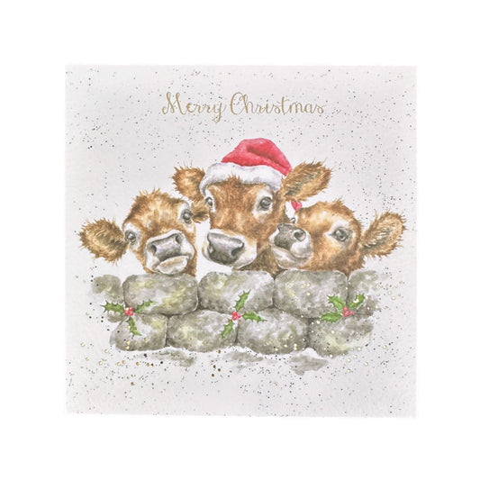 Wrendale Designs Karte Weihnachtskälber