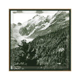 fidea Foulard, Selva