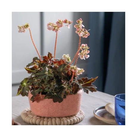 Gry & Sif Filzschalen 3er Set, lavendel