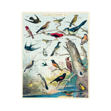 Cavallini Vögel Puzzle, 1000 Stück