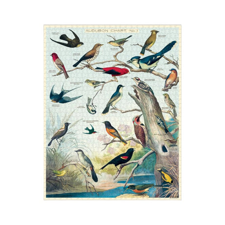 Cavallini Puzzle Vögel, 1000 Teile