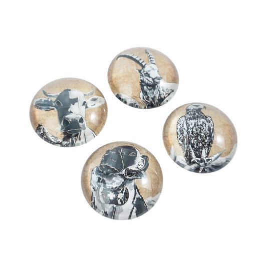 Trendform EYE-Magnete BELLA & FRIENDS 4er Set