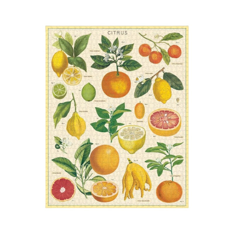 Cavallini Citrus Puzzle, 1000 Stück