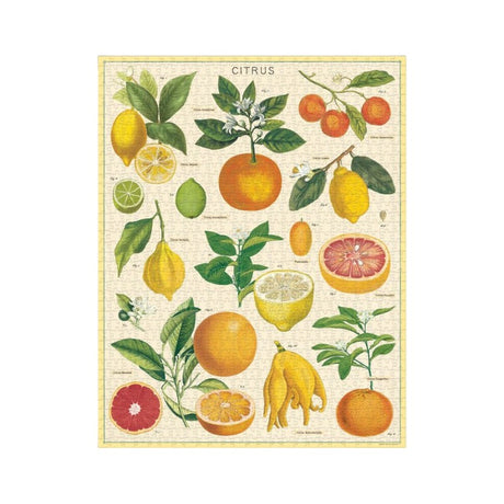 Cavallini Citrus Puzzle, 1000 Stück